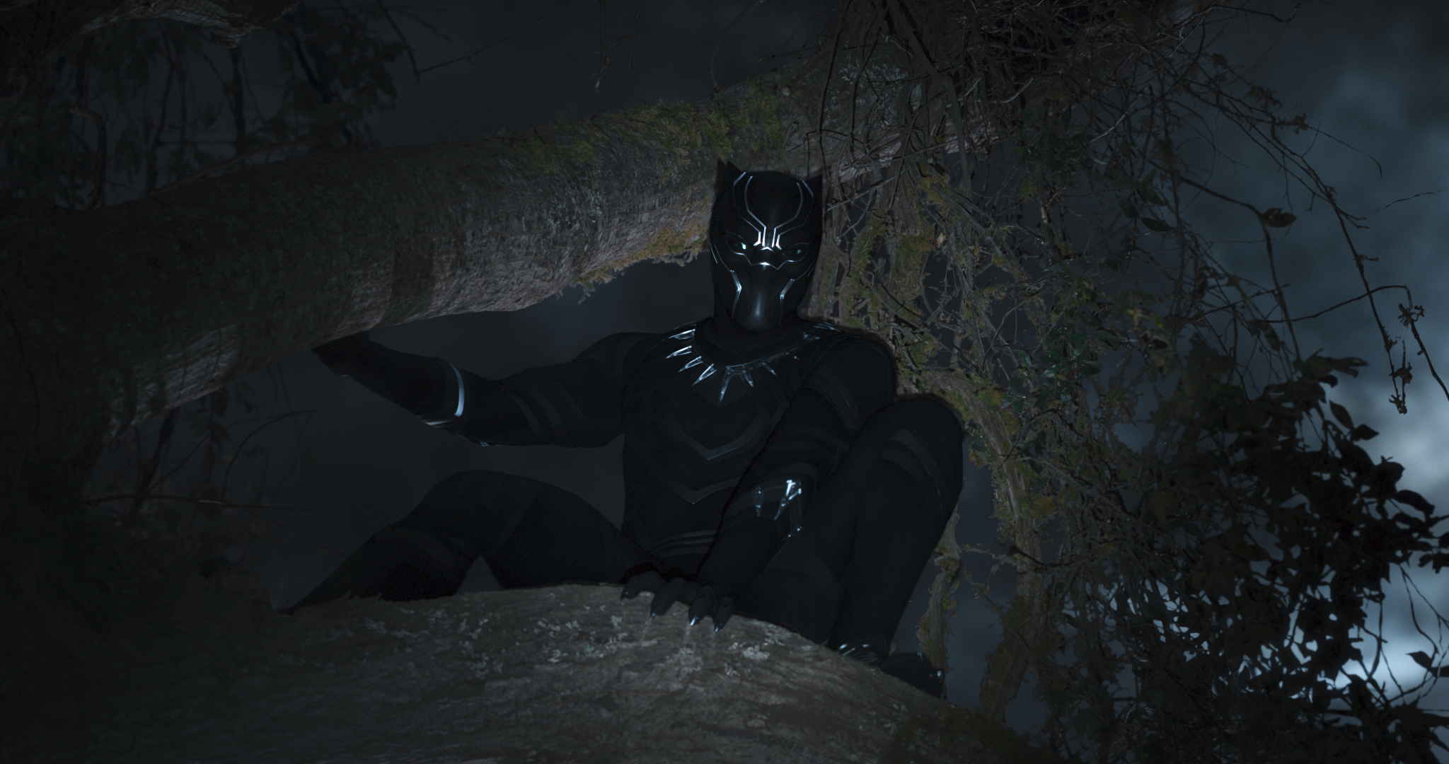 T'Challa Chadwick Boseman Black Panther Wallpapers