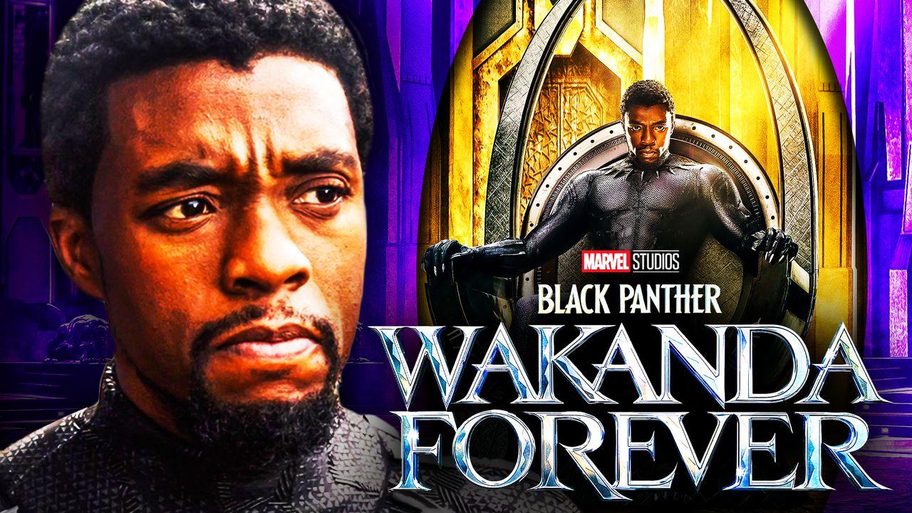 T'Challa Chadwick Boseman Black Panther Wallpapers