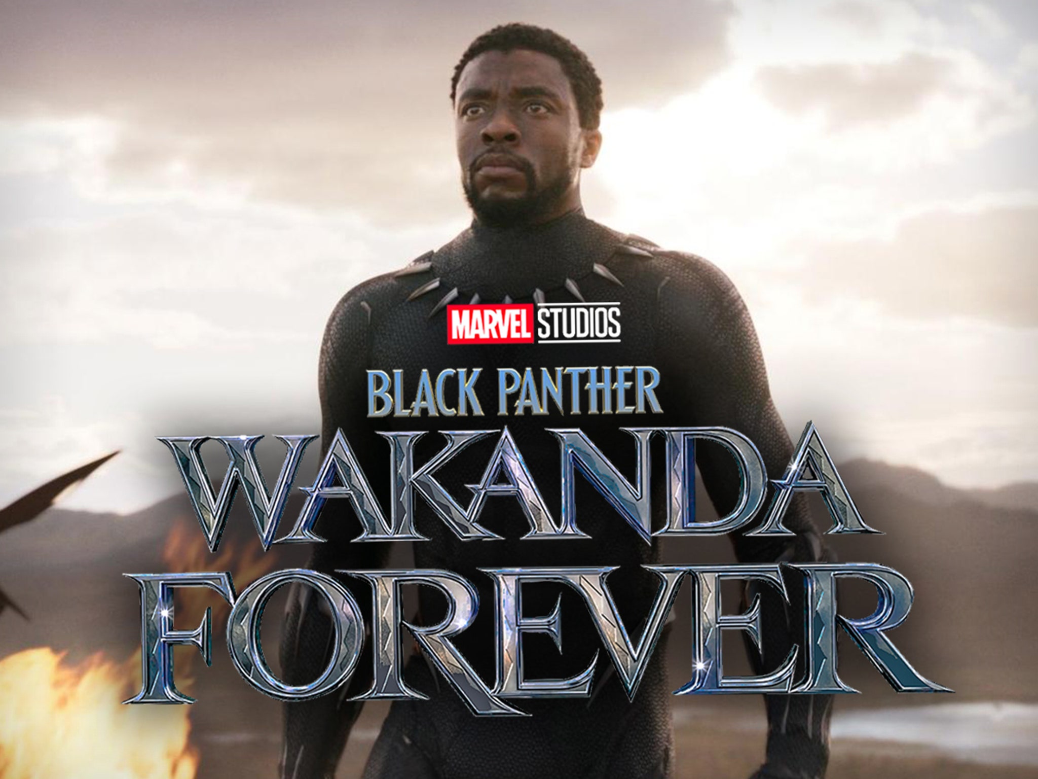 T'Challa Chadwick Boseman Black Panther Wallpapers