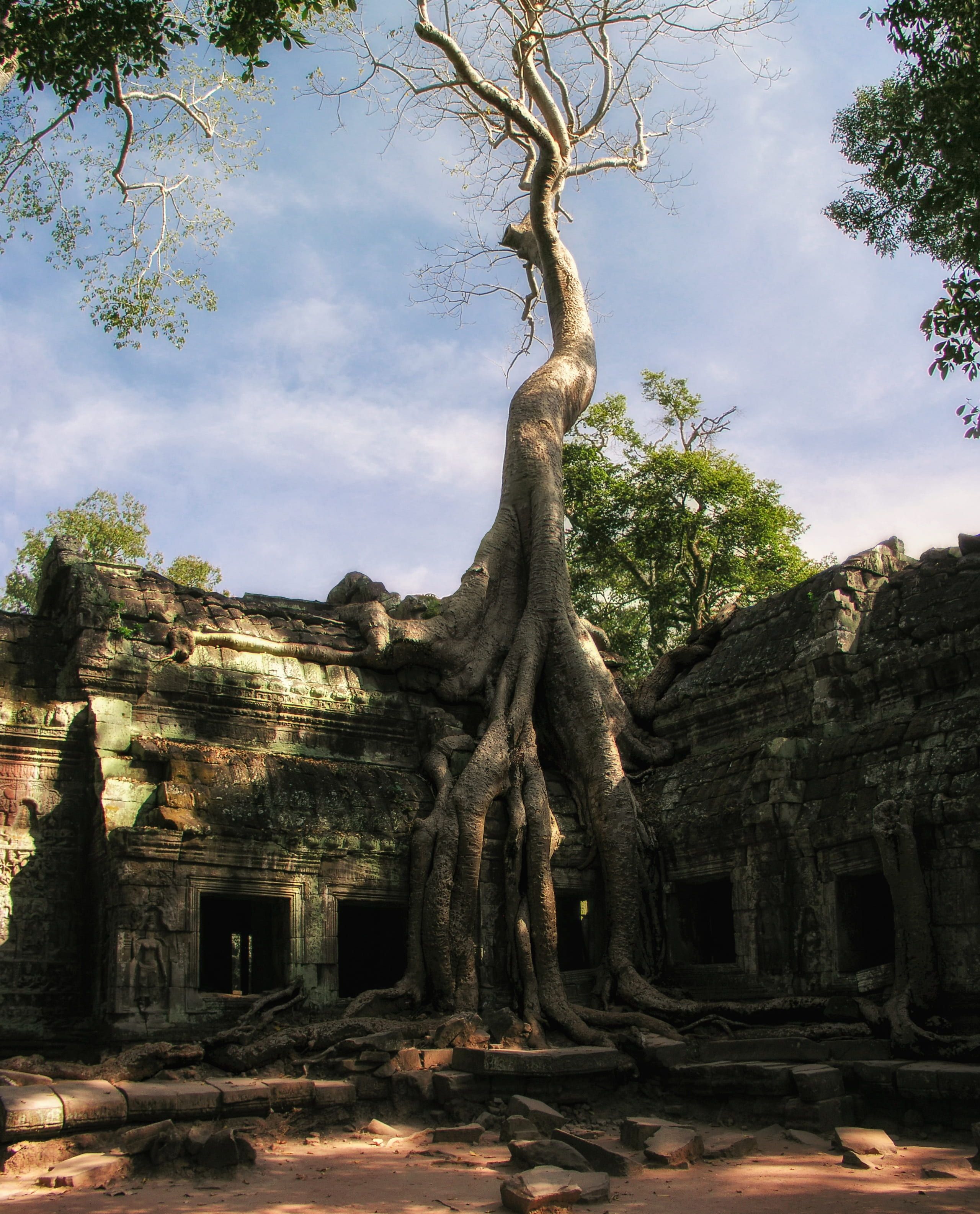 Ta Prohm Wallpapers