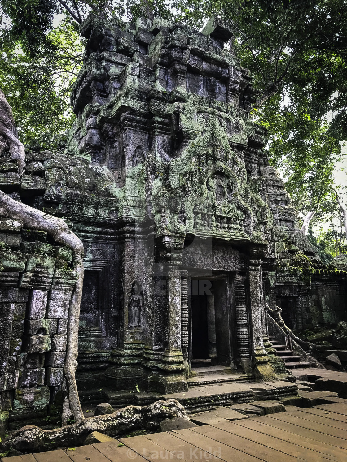 Ta Prohm Wallpapers