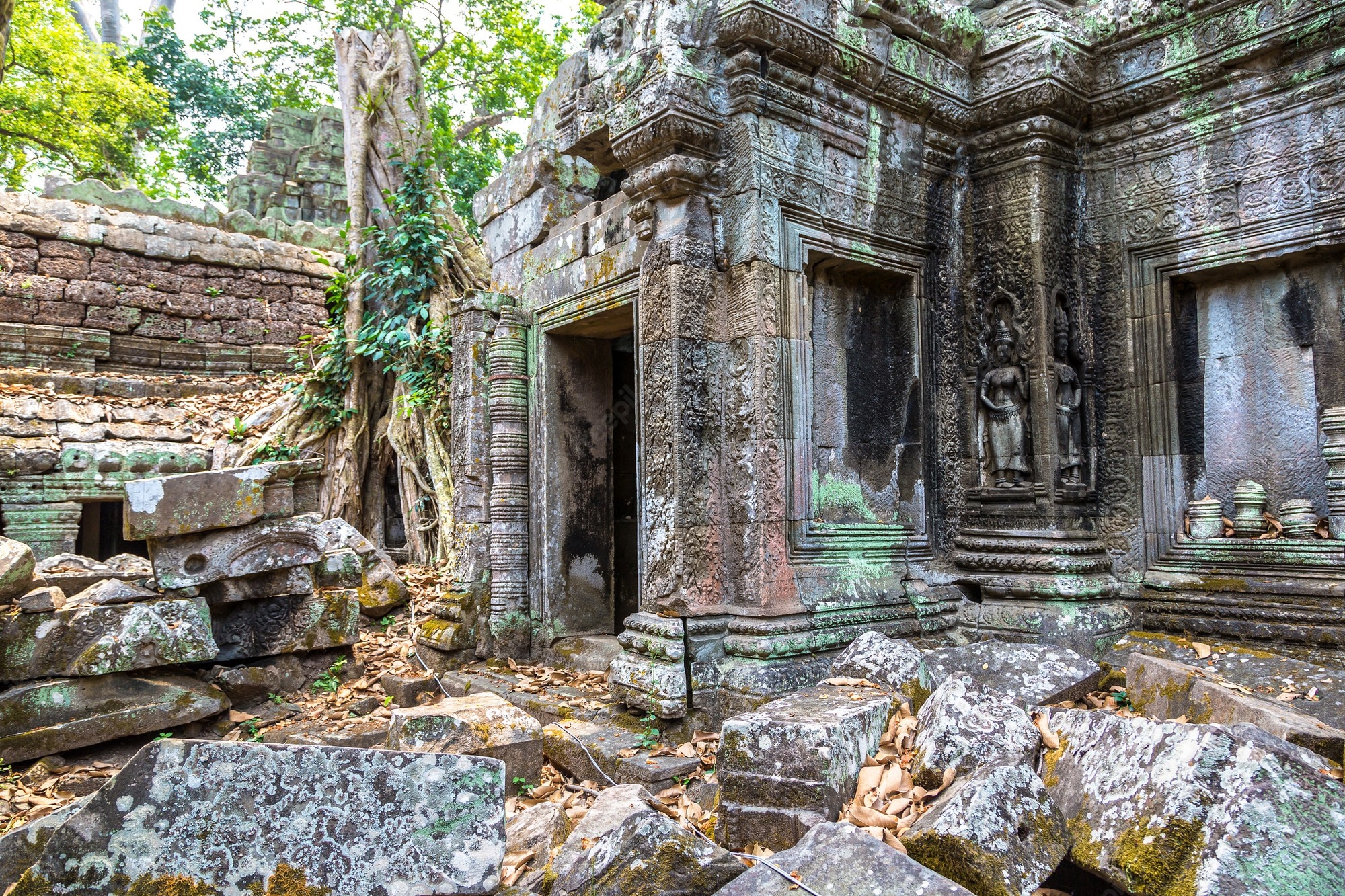 Ta Prohm Wallpapers