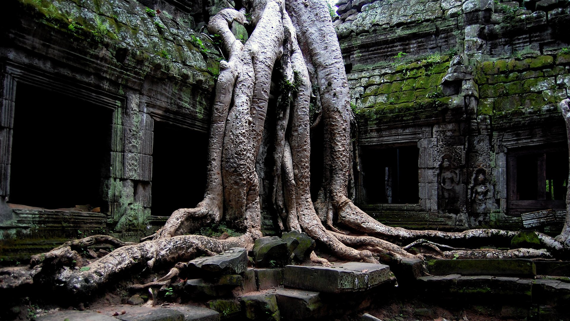 Ta Prohm Wallpapers