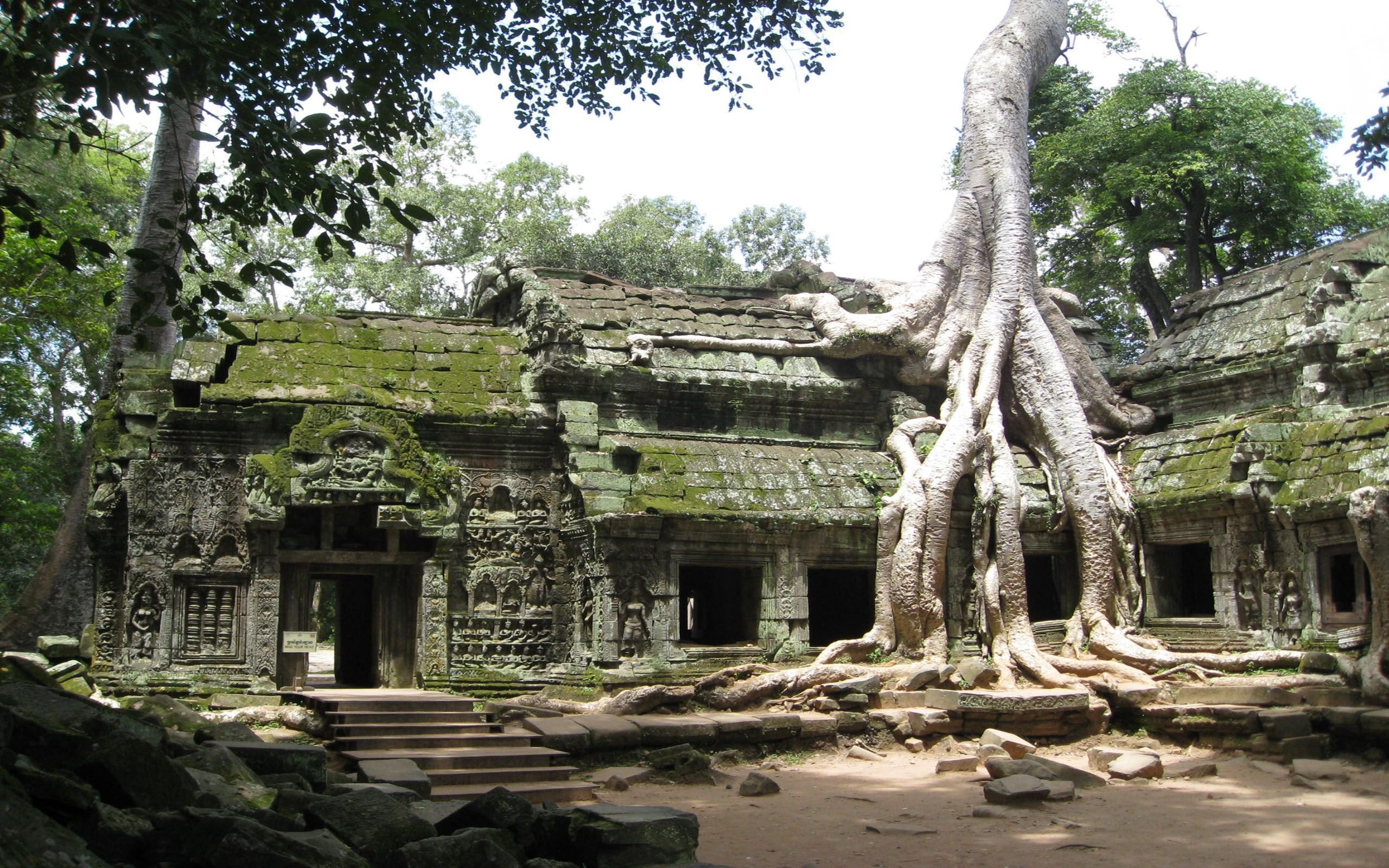 Ta Prohm Wallpapers