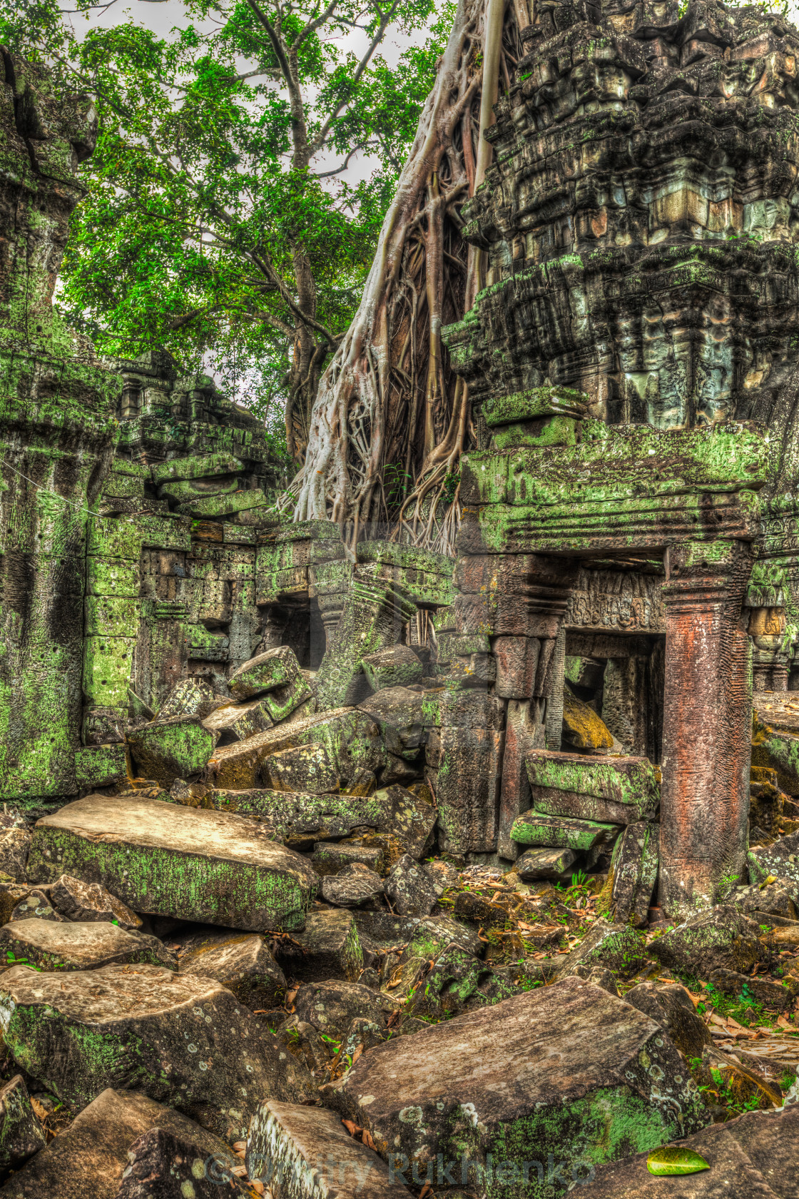 Ta Prohm Wallpapers