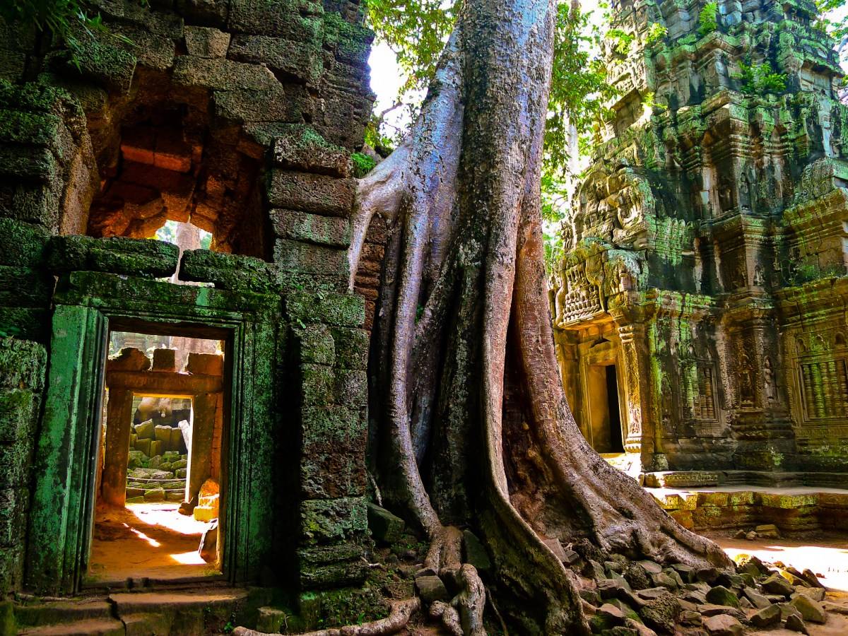 Ta Prohm Wallpapers