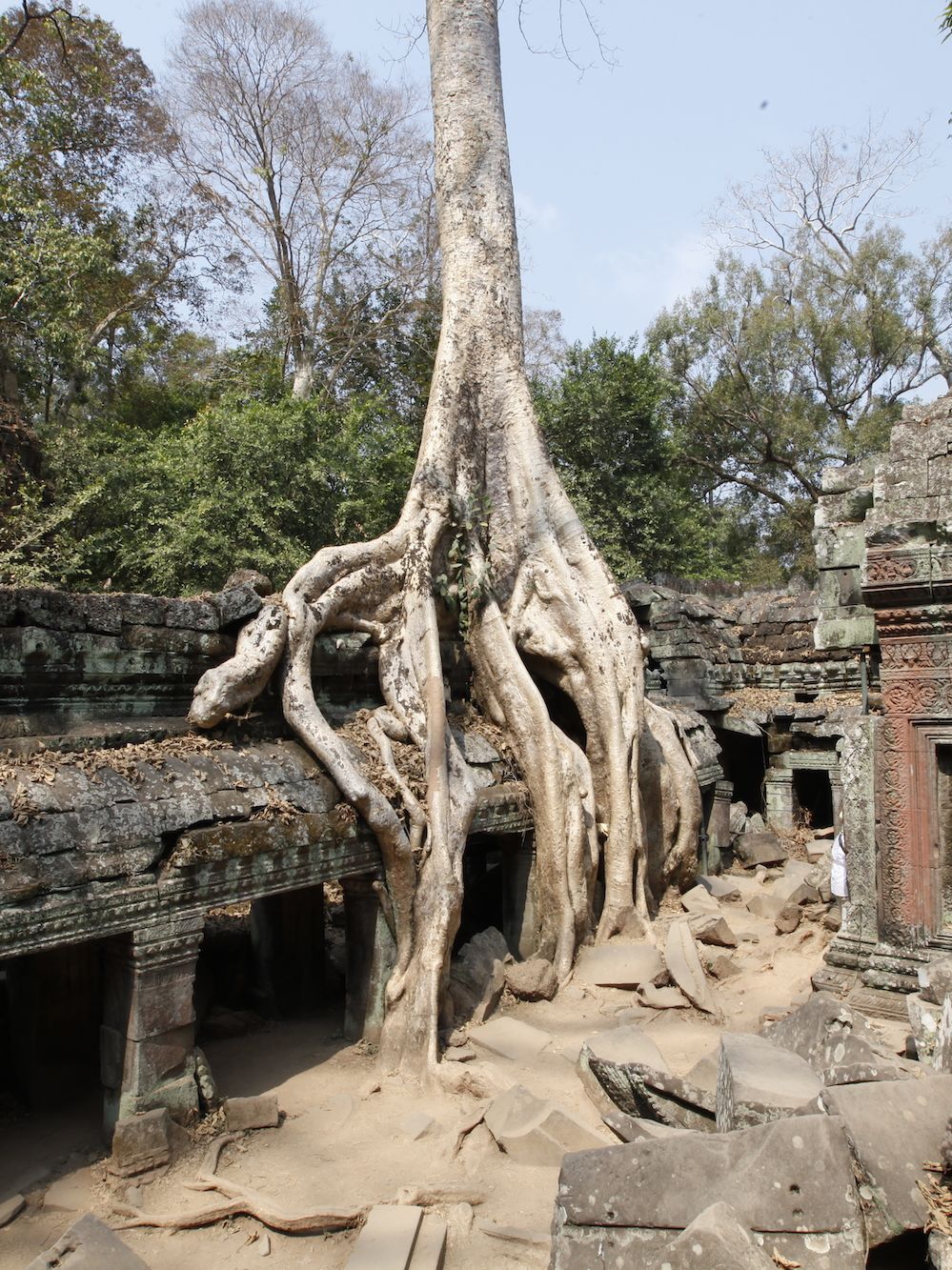 Ta Prohm Wallpapers