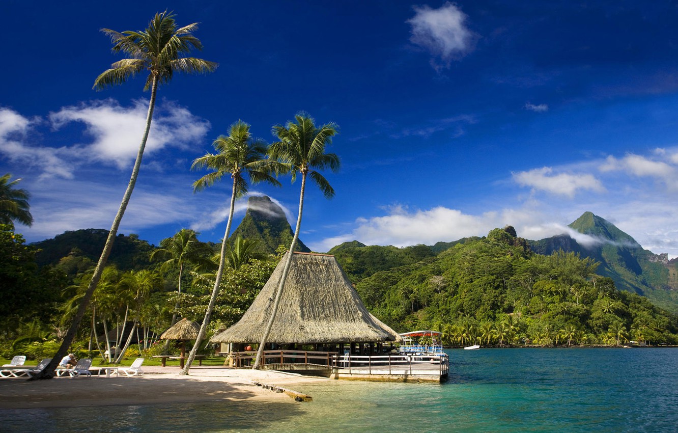 Tahiti Background