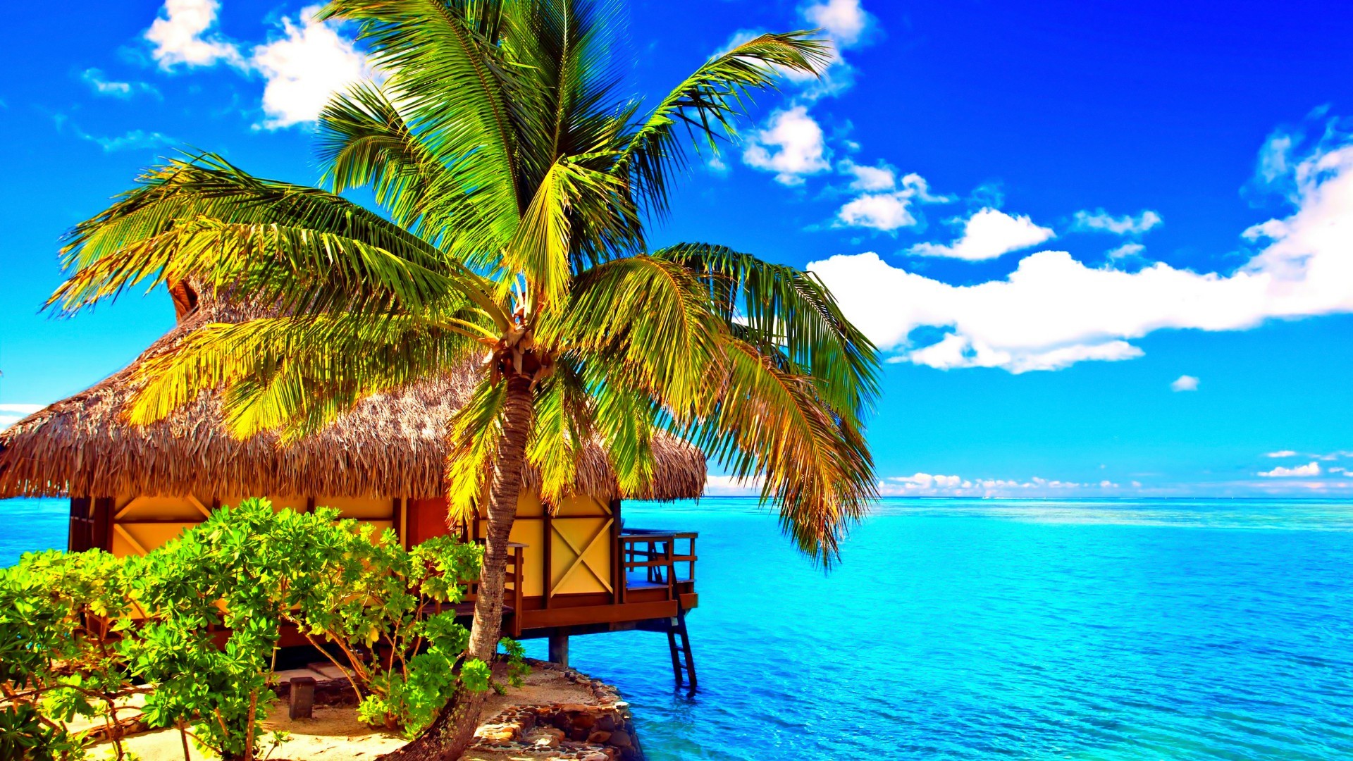 Tahiti Background