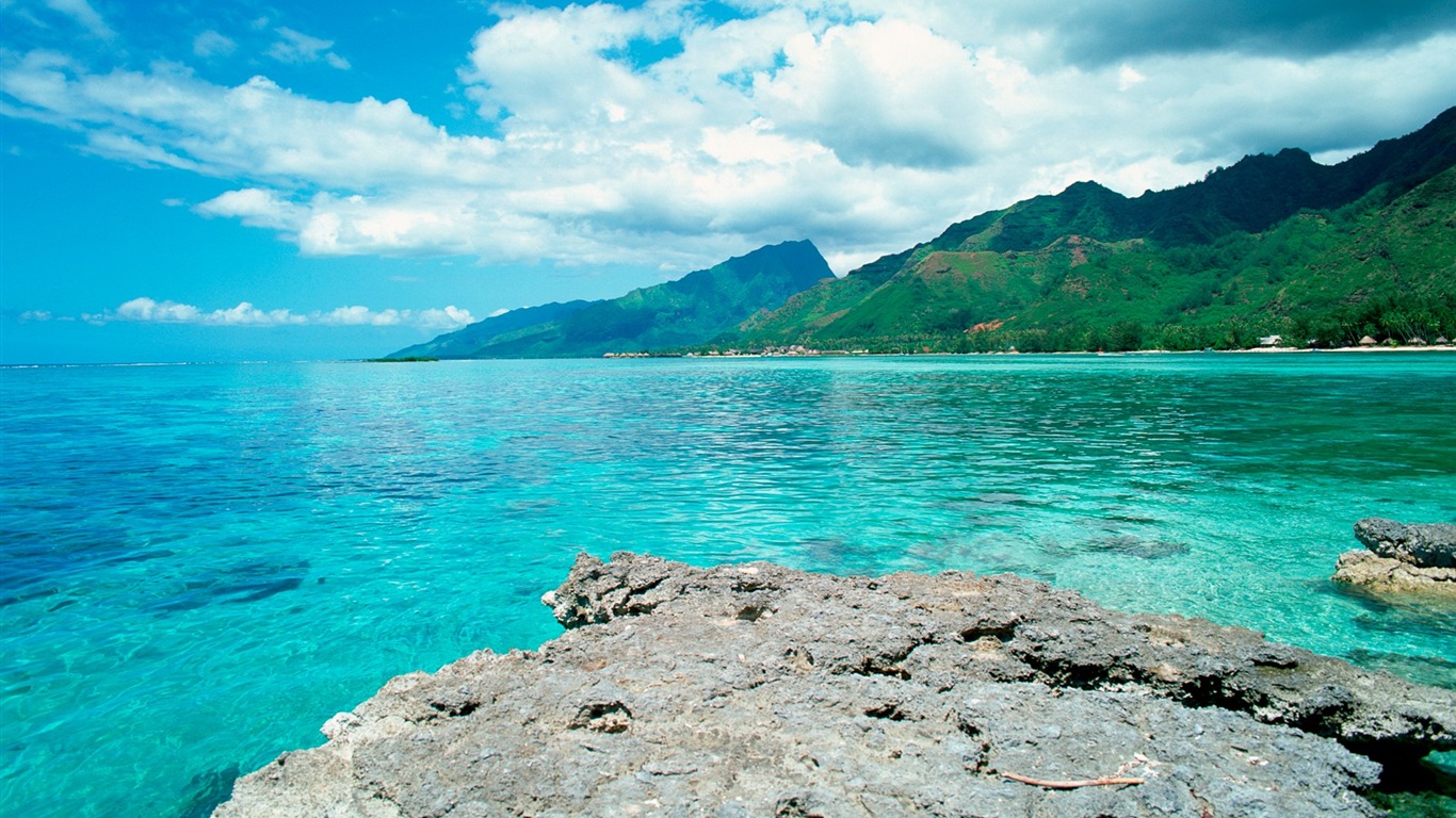 Tahiti Background