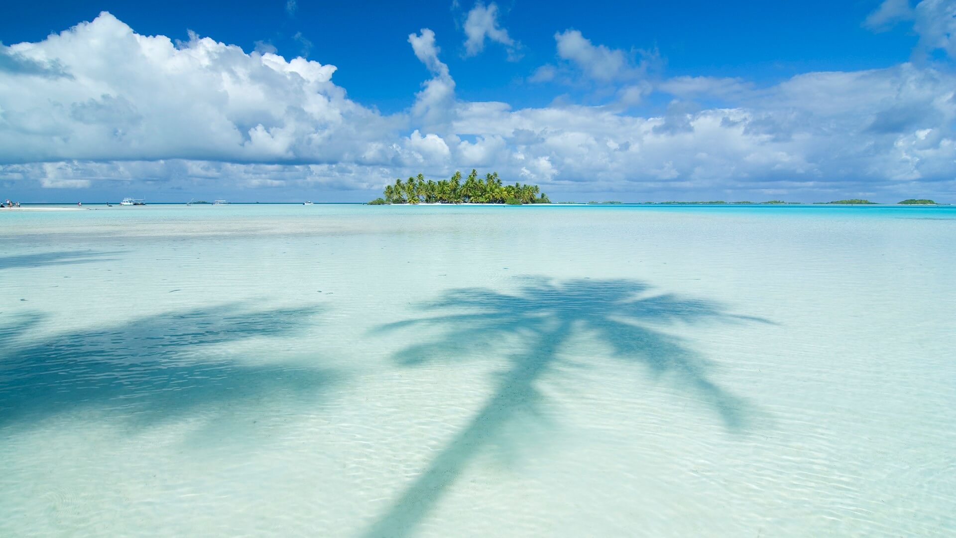 Tahiti Background