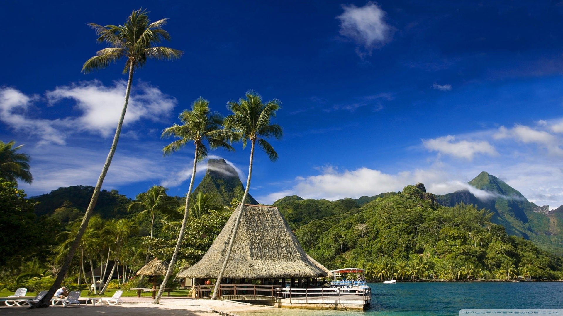 Tahiti Background