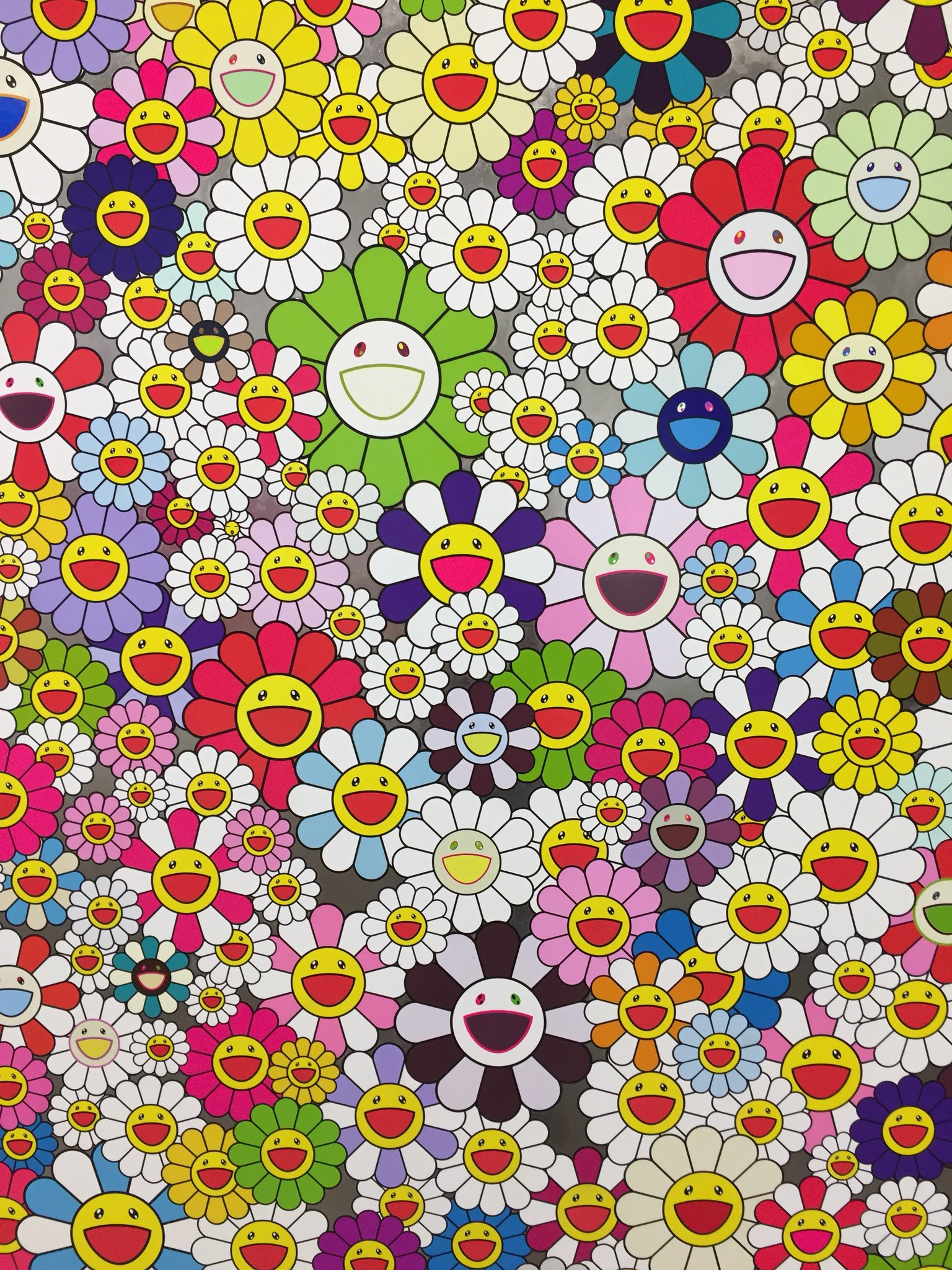 Takashipom Wallpapers