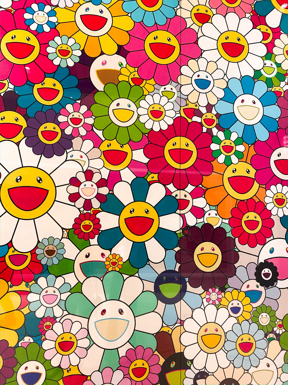 Takashipom Wallpapers