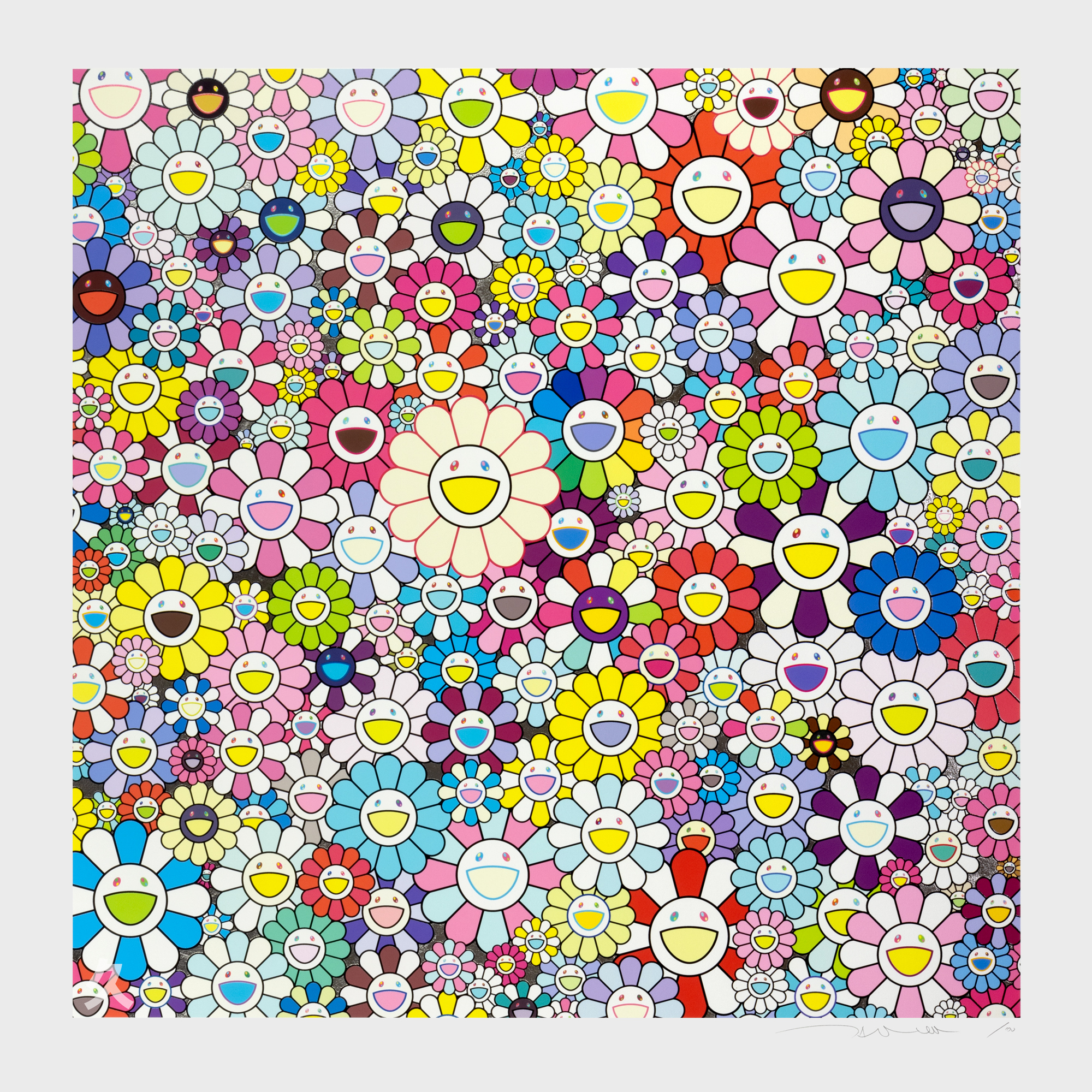 Takashipom Wallpapers