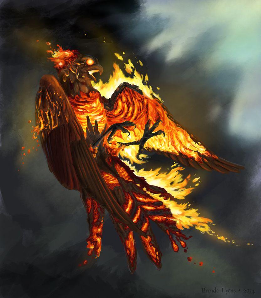 Talonflame Hd Wallpapers