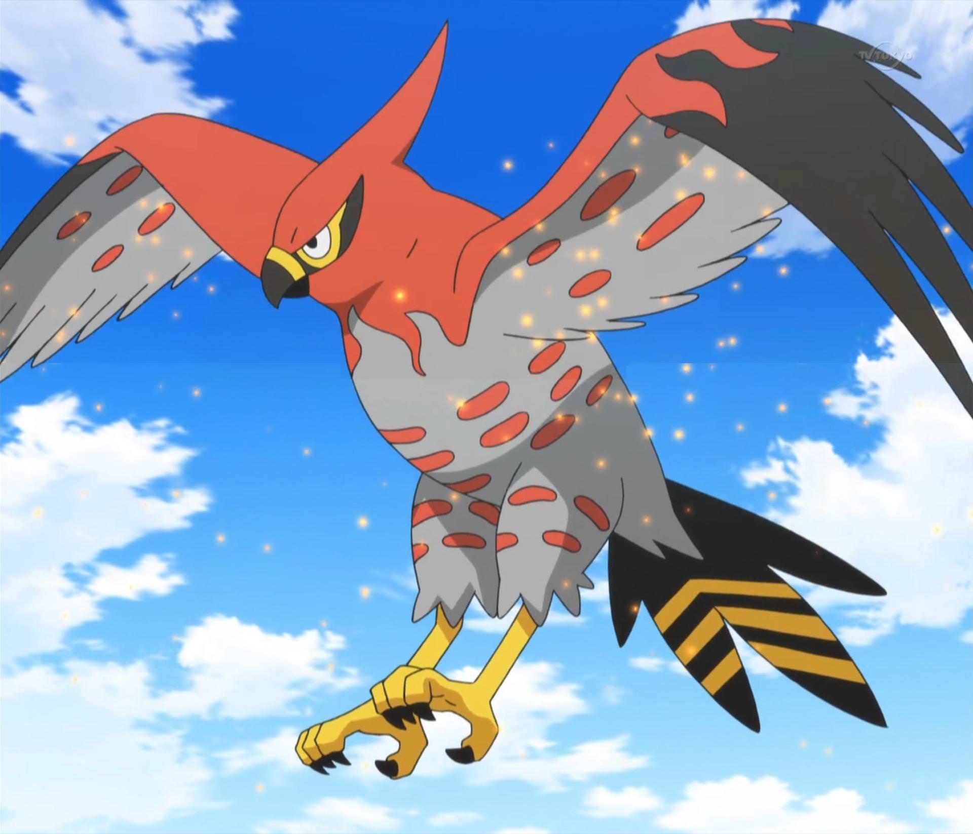 Talonflame Hd Wallpapers