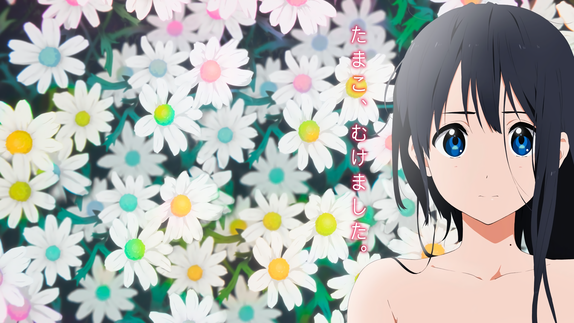 Tamako Love Story Wallpapers