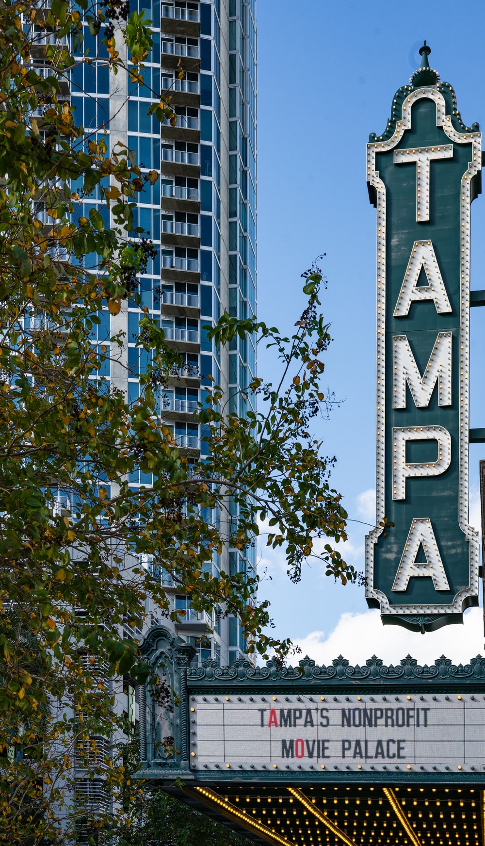 Tampa Florida Wallpapers