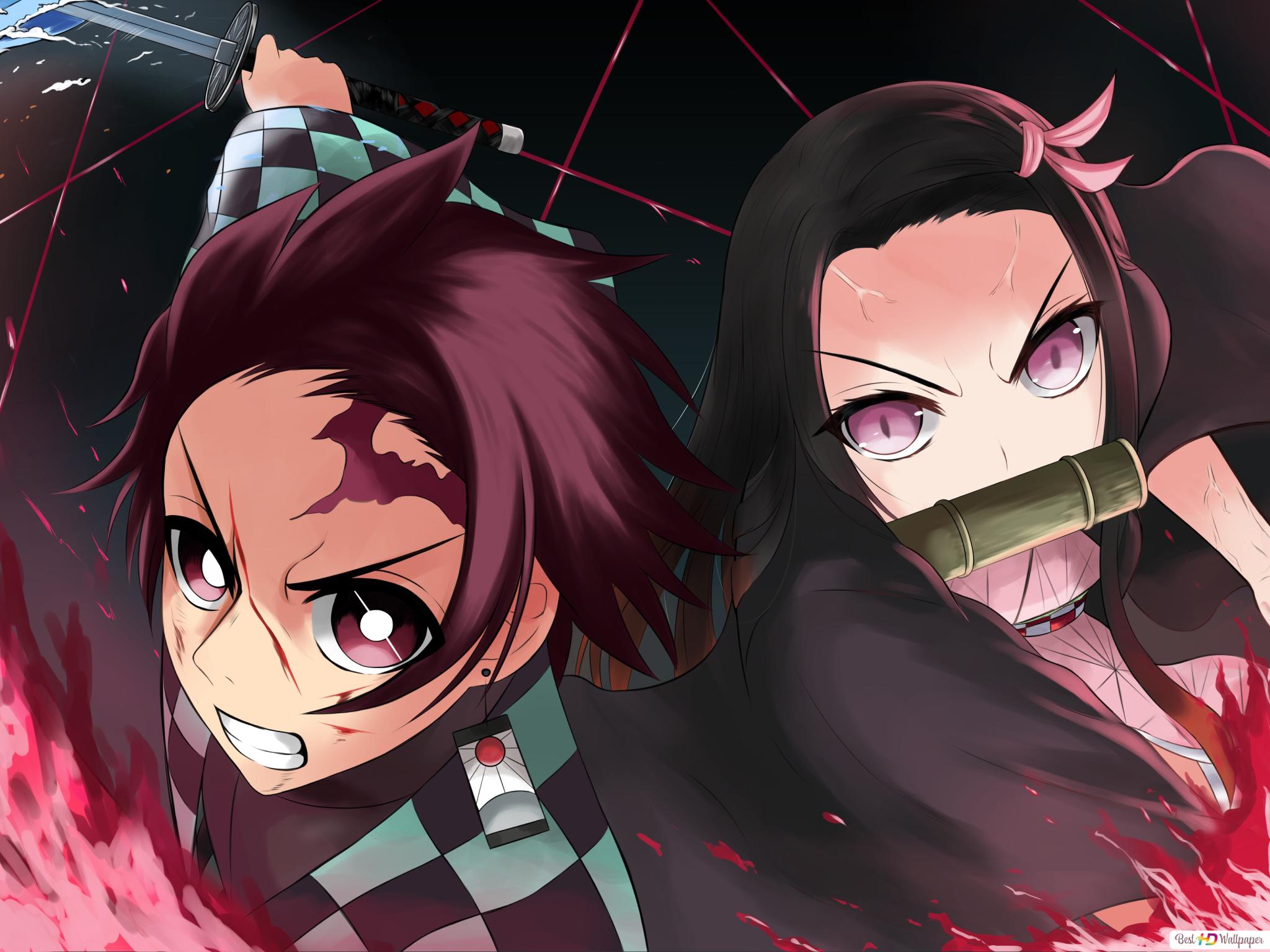 Tanjirou Kamado And Nezuko Kamado Wallpapers