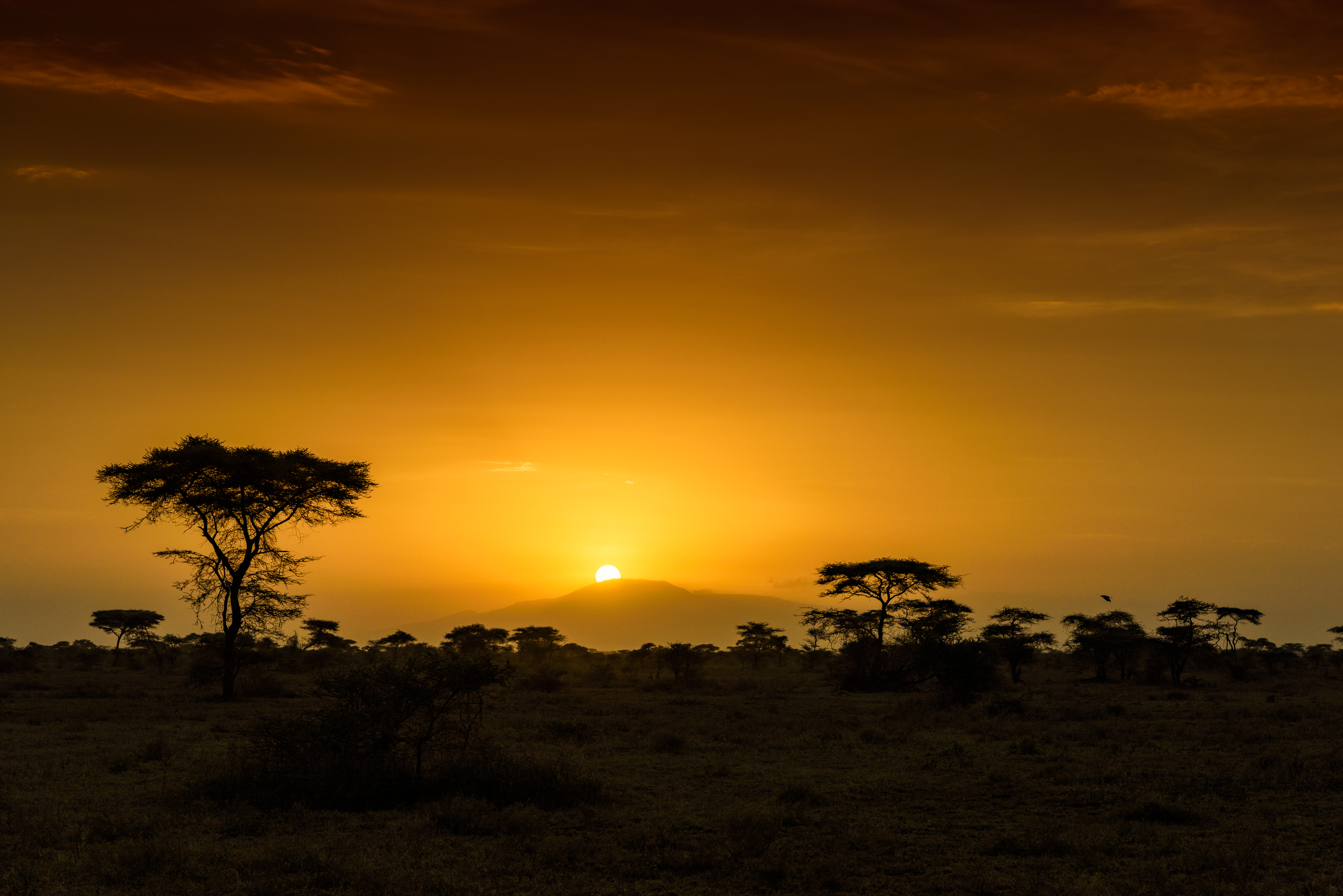 Tanzania Wallpapers