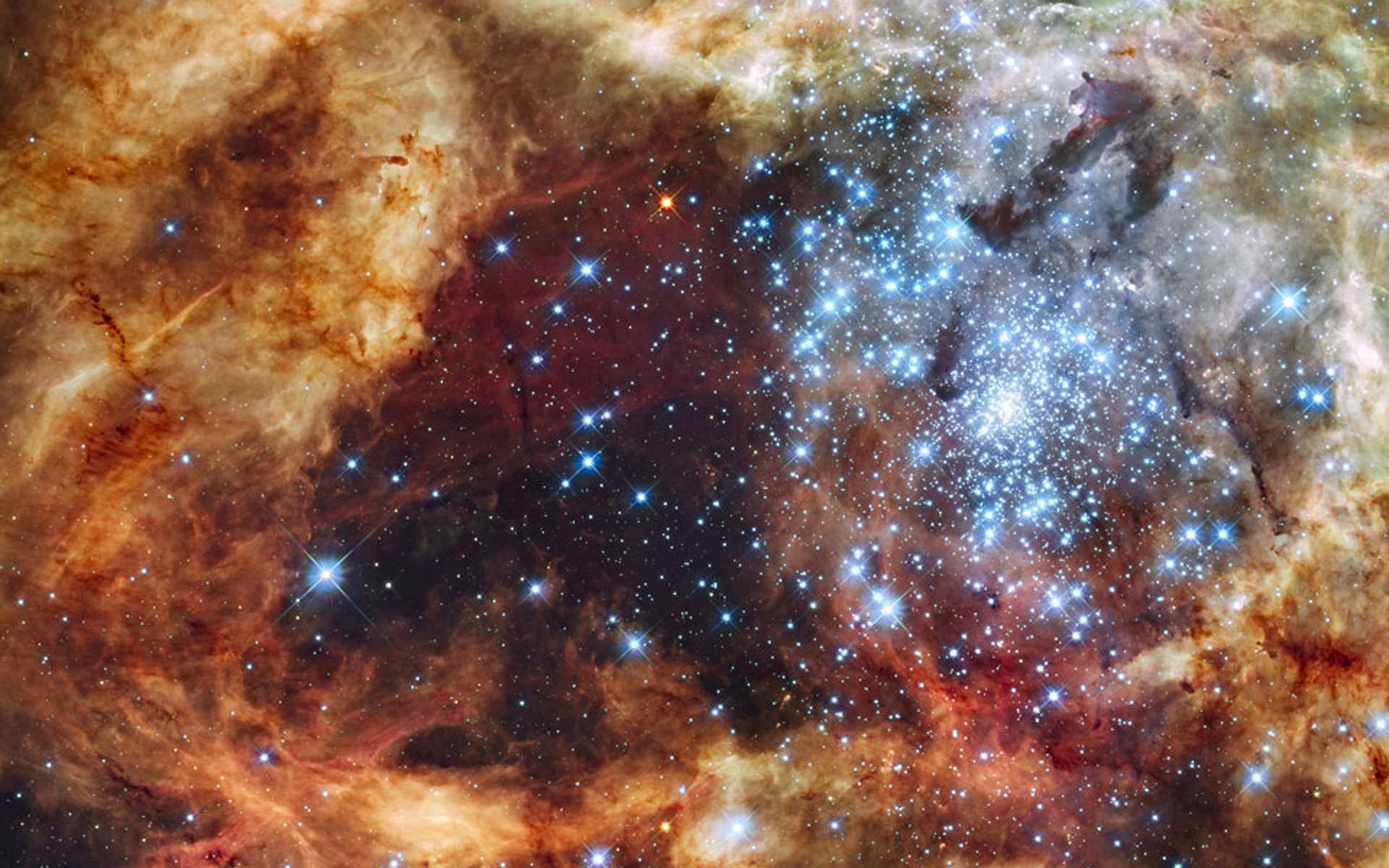 Tarantula Nebula Wallpapers