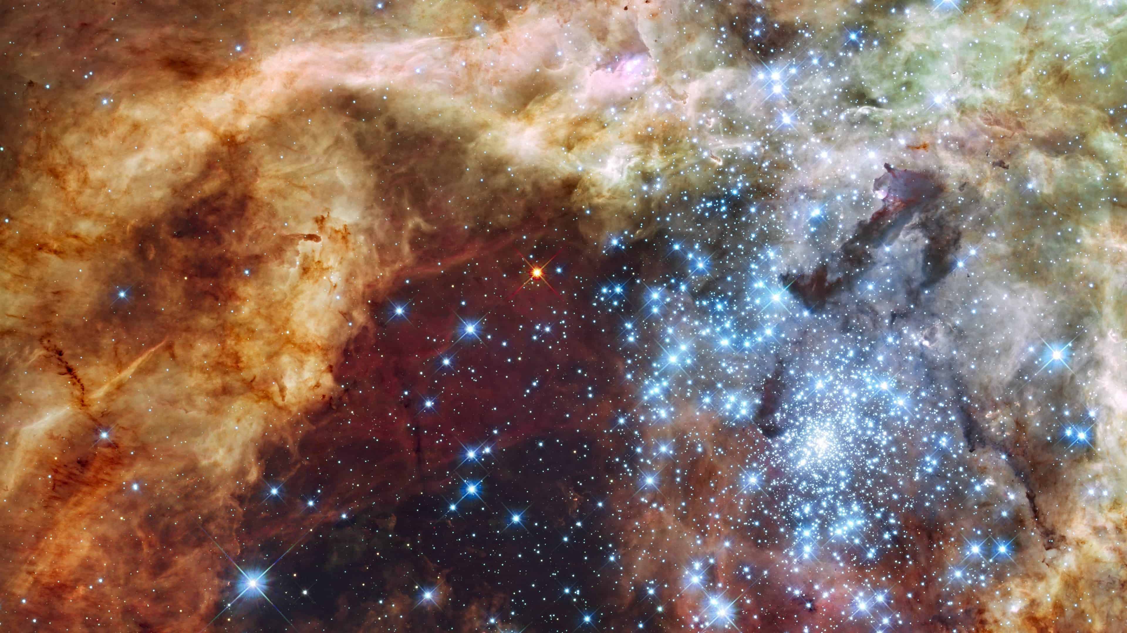 Tarantula Nebula Wallpapers