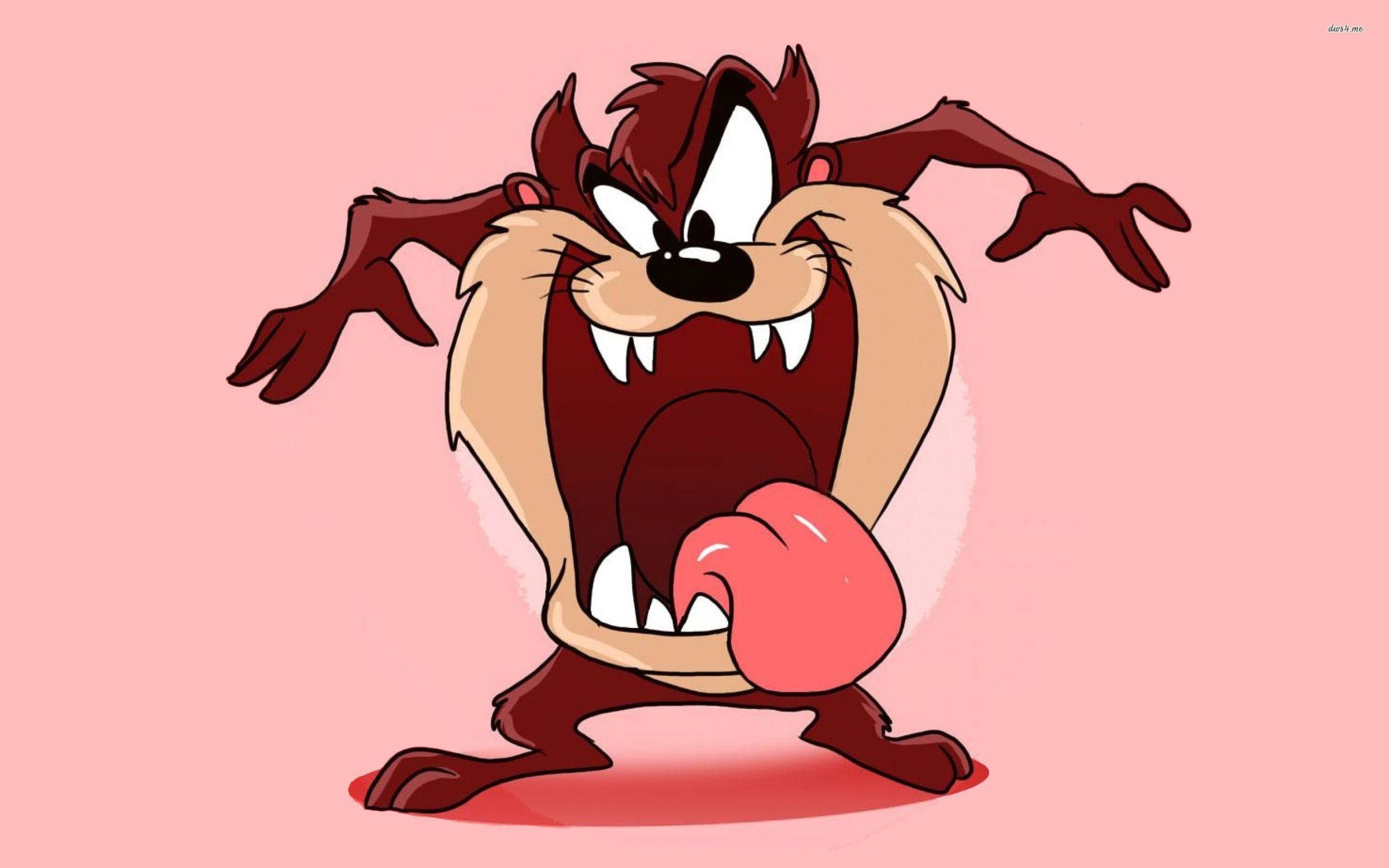 Tasmanian Devil Wallpapers