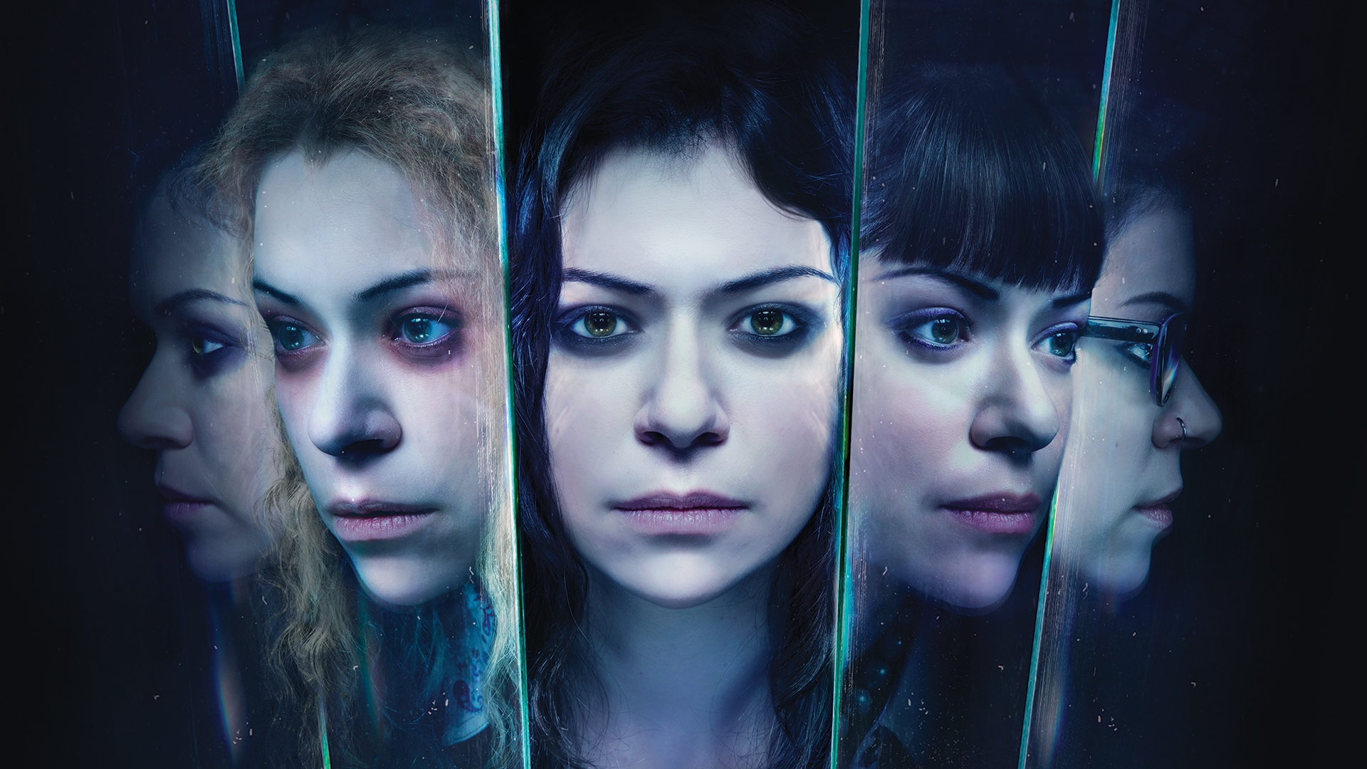 Tatiana Maslany Wallpapers