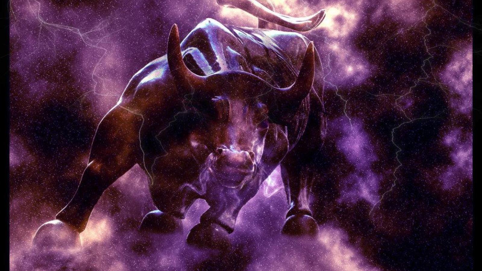 Tauros Hd Wallpapers