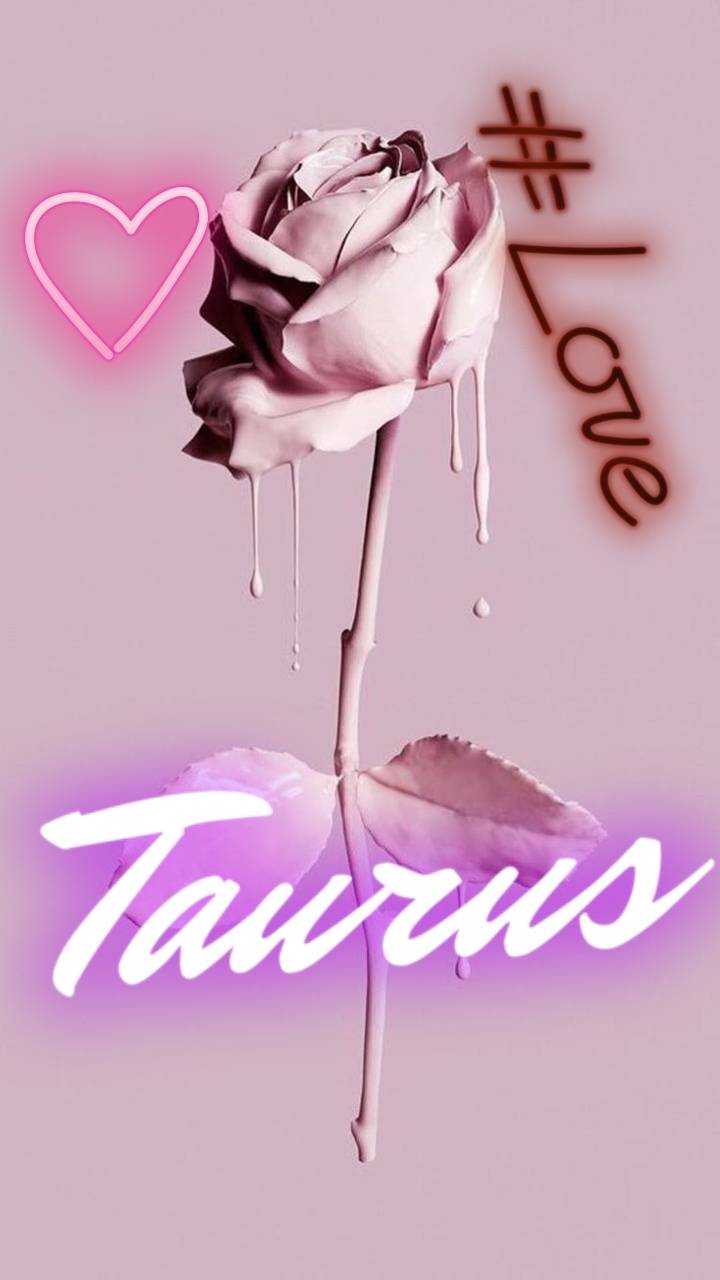 Taurus Aesthetic Wallpapers