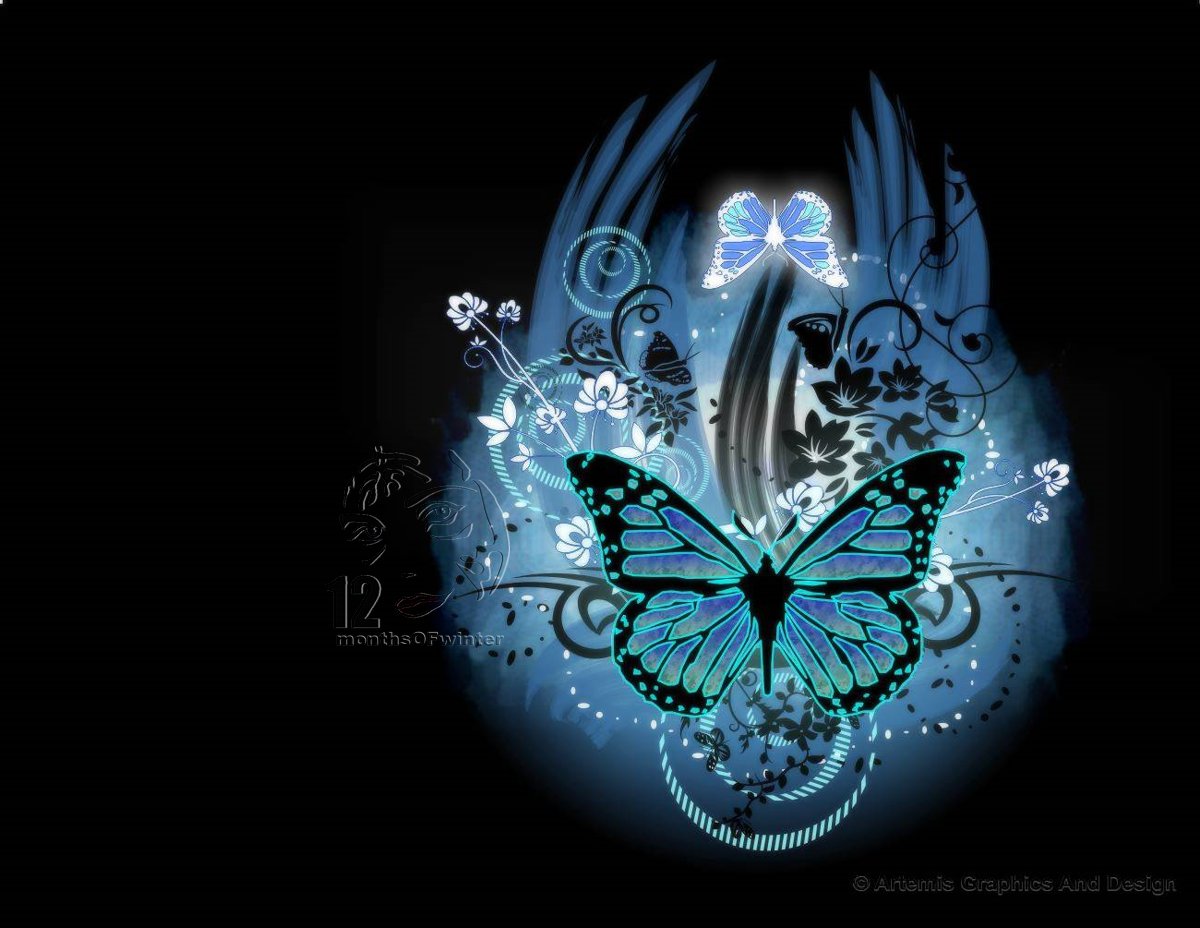 Teal Butterfly Wallpapers