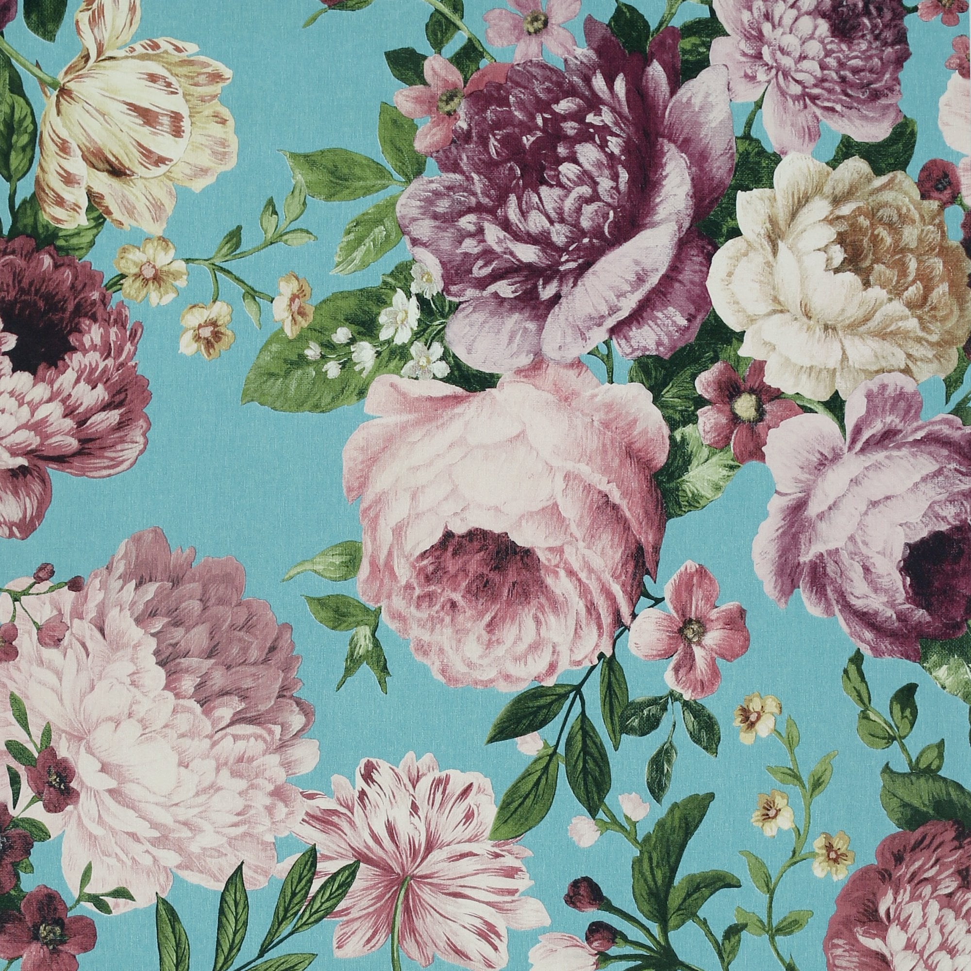 Teal Flower Wallpapers