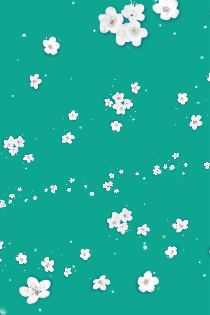 Teal Flower Wallpapers