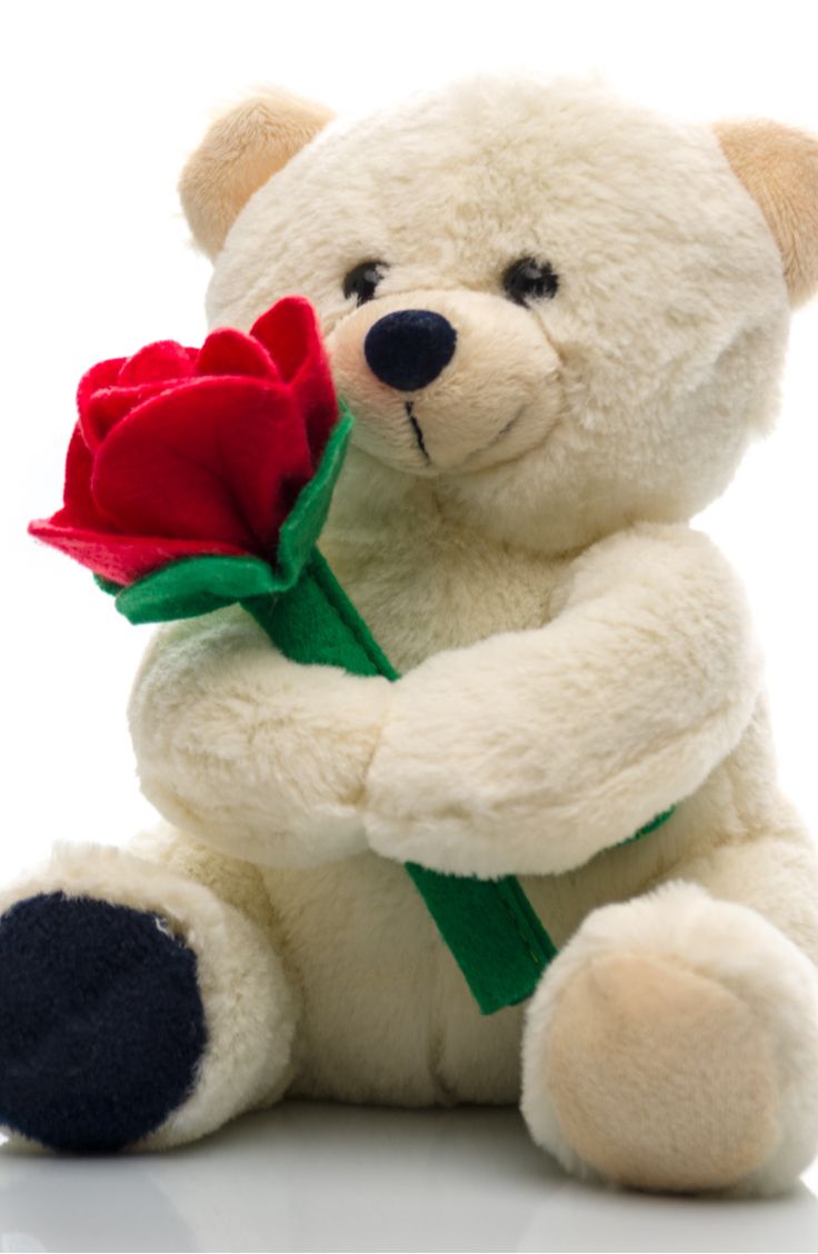 Teddy Bear And Flower Wallpapers