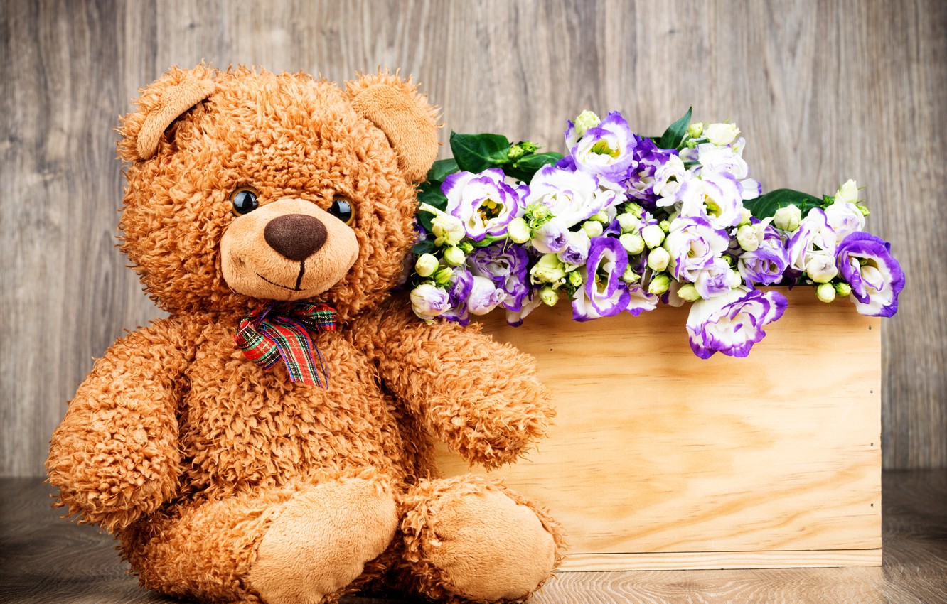 Teddy Bear And Flower Wallpapers