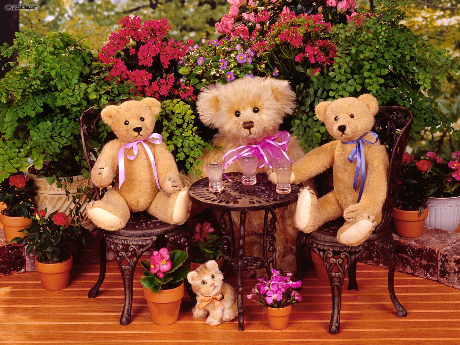 Teddy Bear And Flower Wallpapers