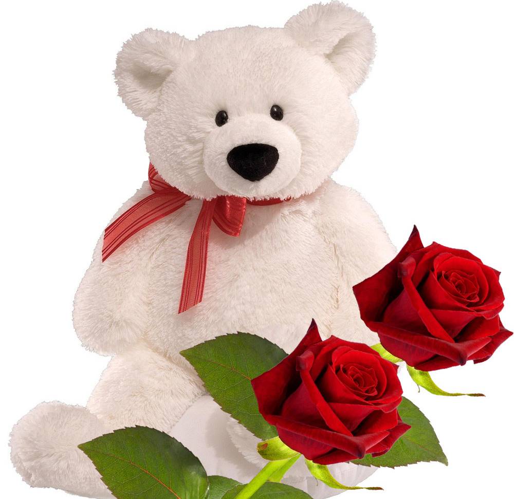 Teddy Bear And Flower Wallpapers