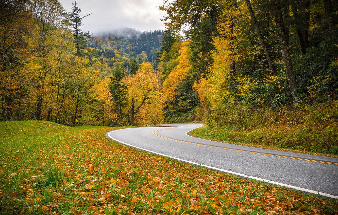 Tennessee Road Wallpapers