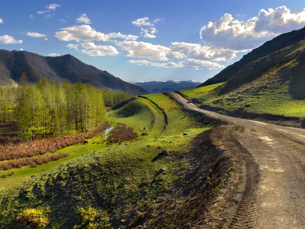 Tennessee Road Wallpapers