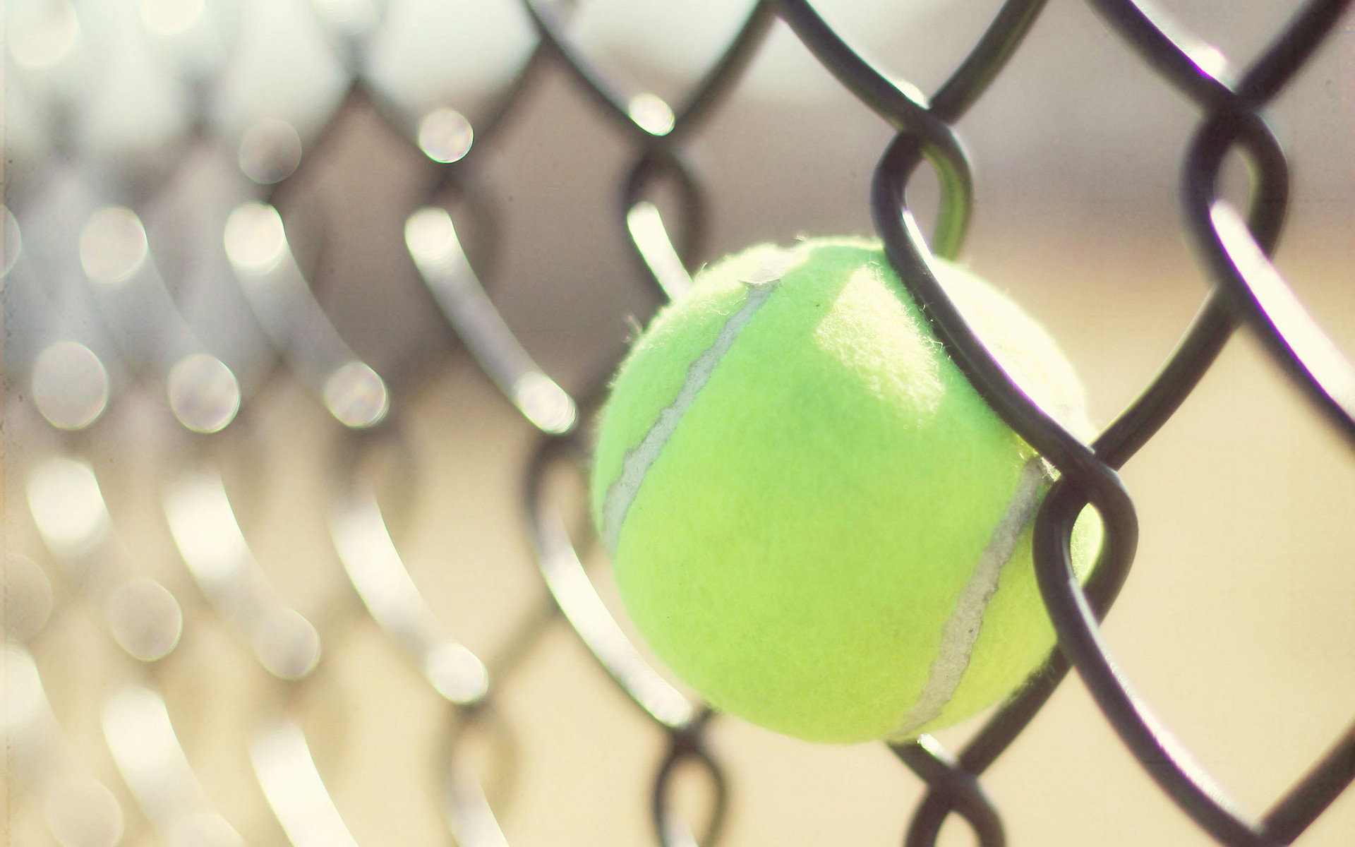 Tennis Wallpapers