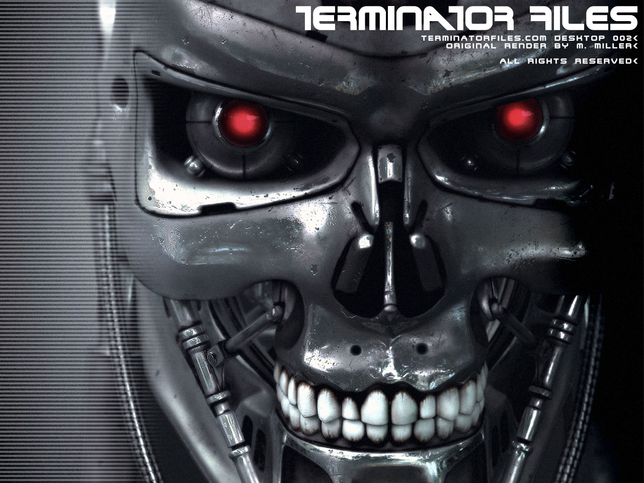 Terminator Skull Wallpapers