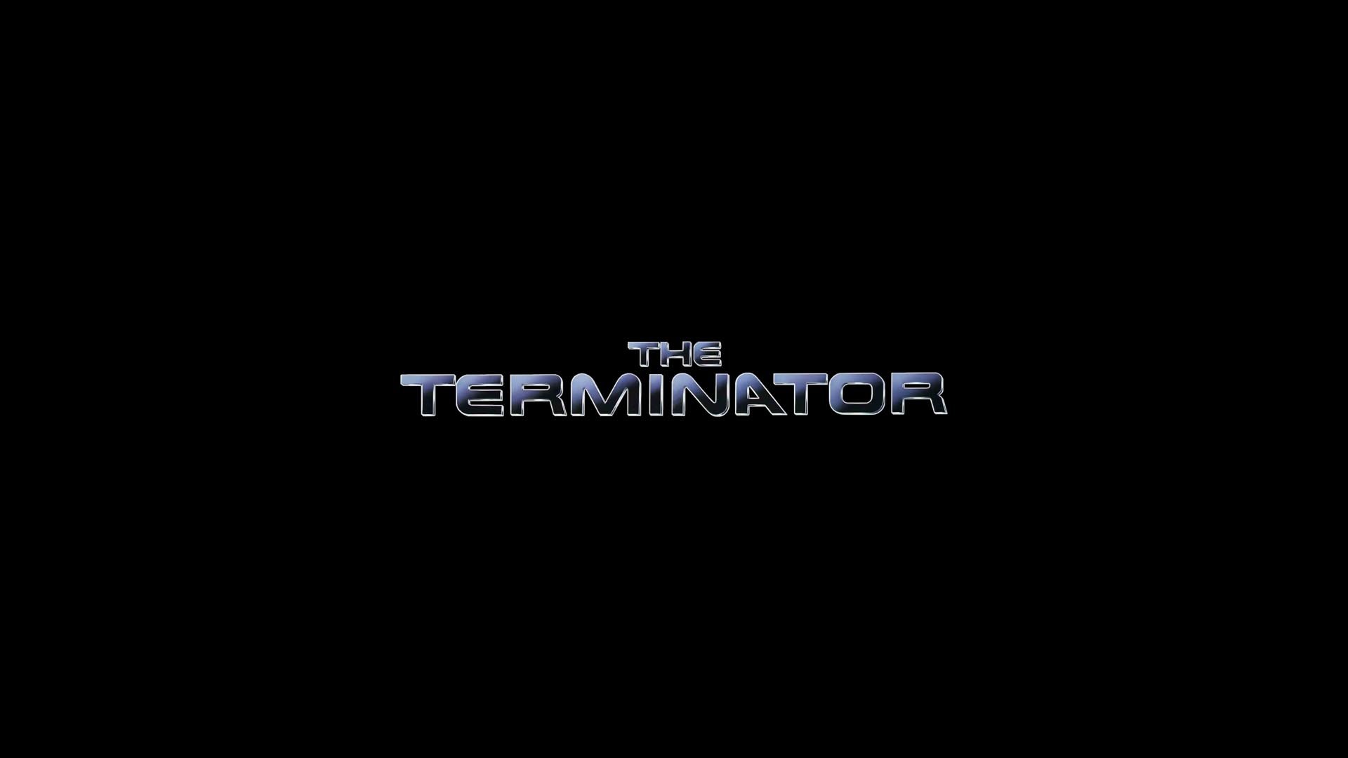 Terminator Wallpapers