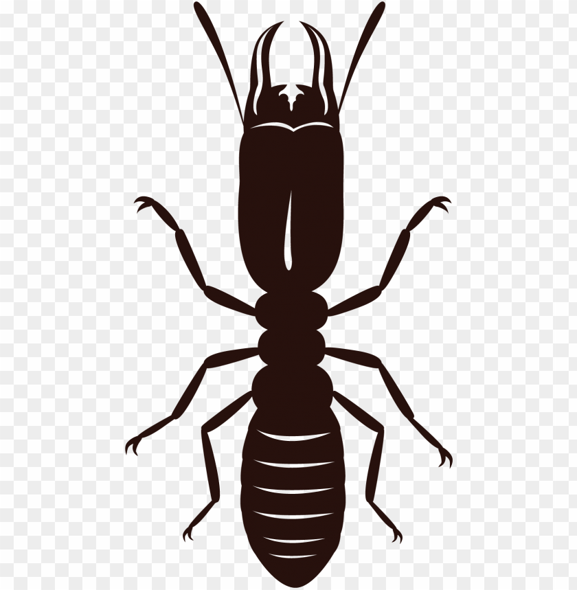 Termite Wallpapers