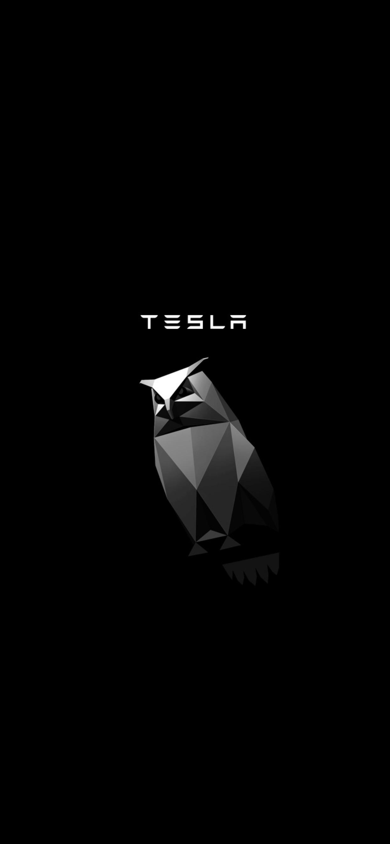 Tesla Logo Black Background