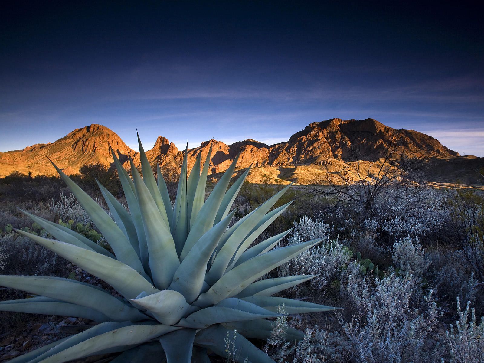 Texas Landscape Wallpapers