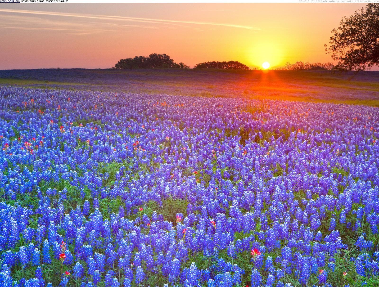 Texas Landscape Wallpapers