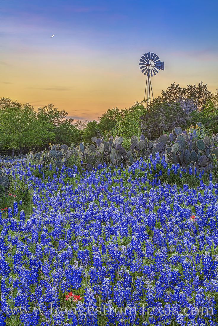 Texas Landscape Wallpapers