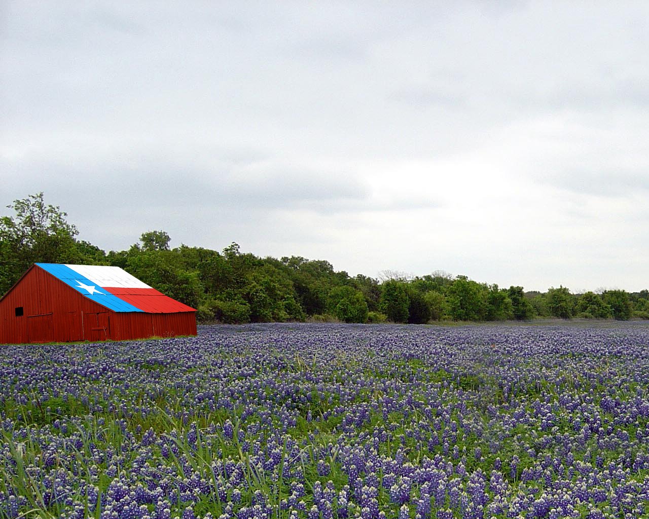 Texas Landscape Wallpapers