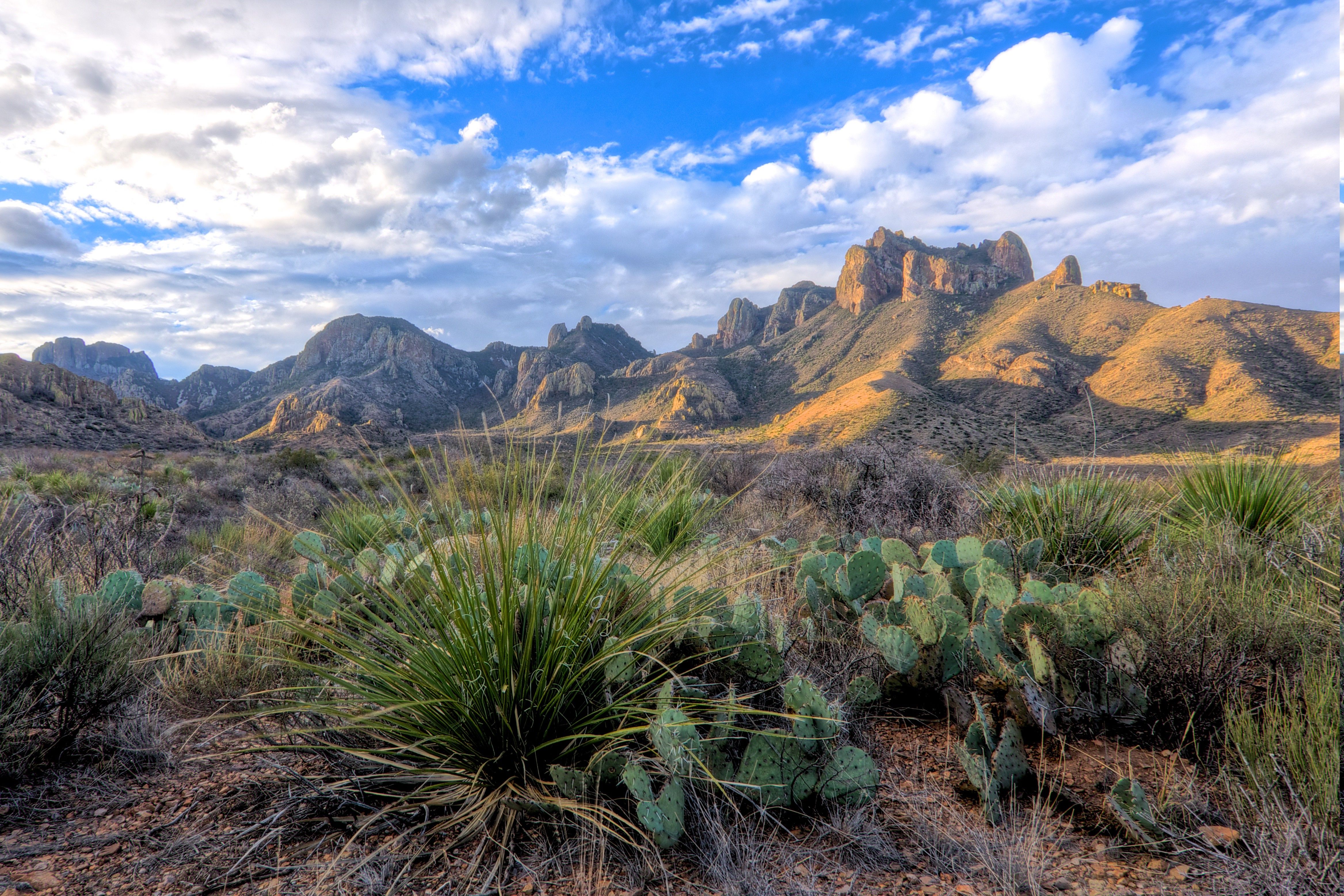 Texas Landscape Wallpapers